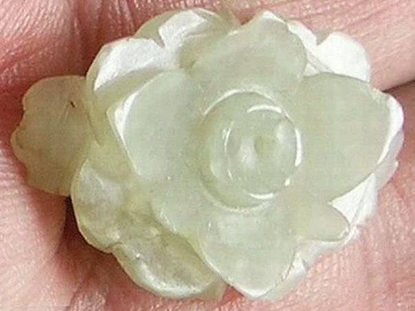 Flower 434 - (9959)